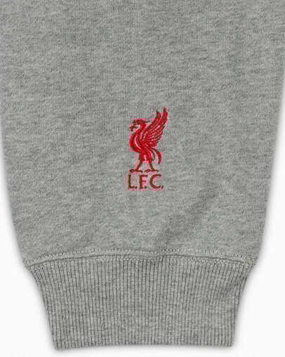 Converse Converse x Liverpool FC Logo Women Hoodie Grey USA | C-94710269